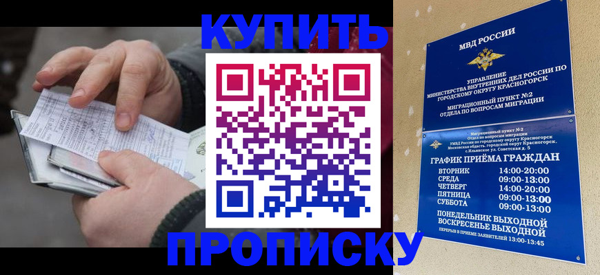 временная регистрация недорого в Могочи